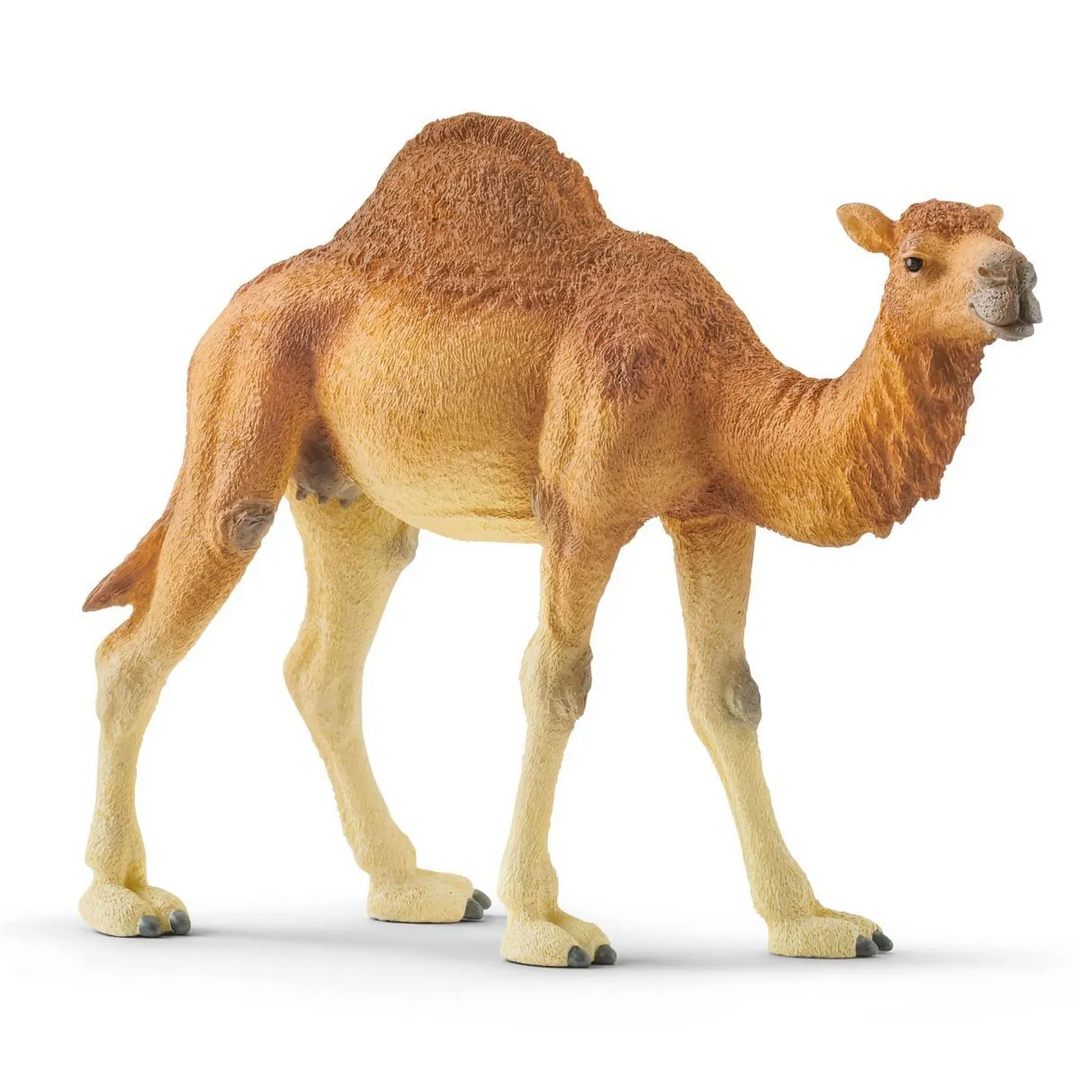 Speelfiguur Dromedaris