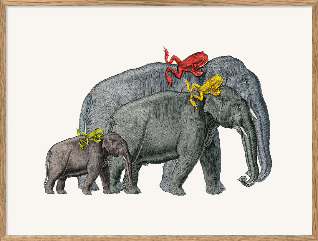 Poster + Kader Oak 30 x 40 cm Elephants And Frogs
