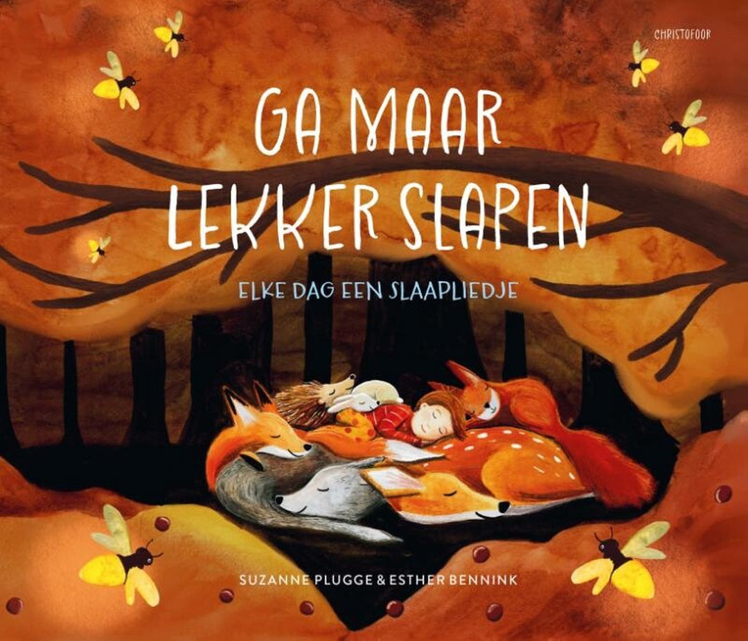 Boek Ga Maar Lekker Slapen