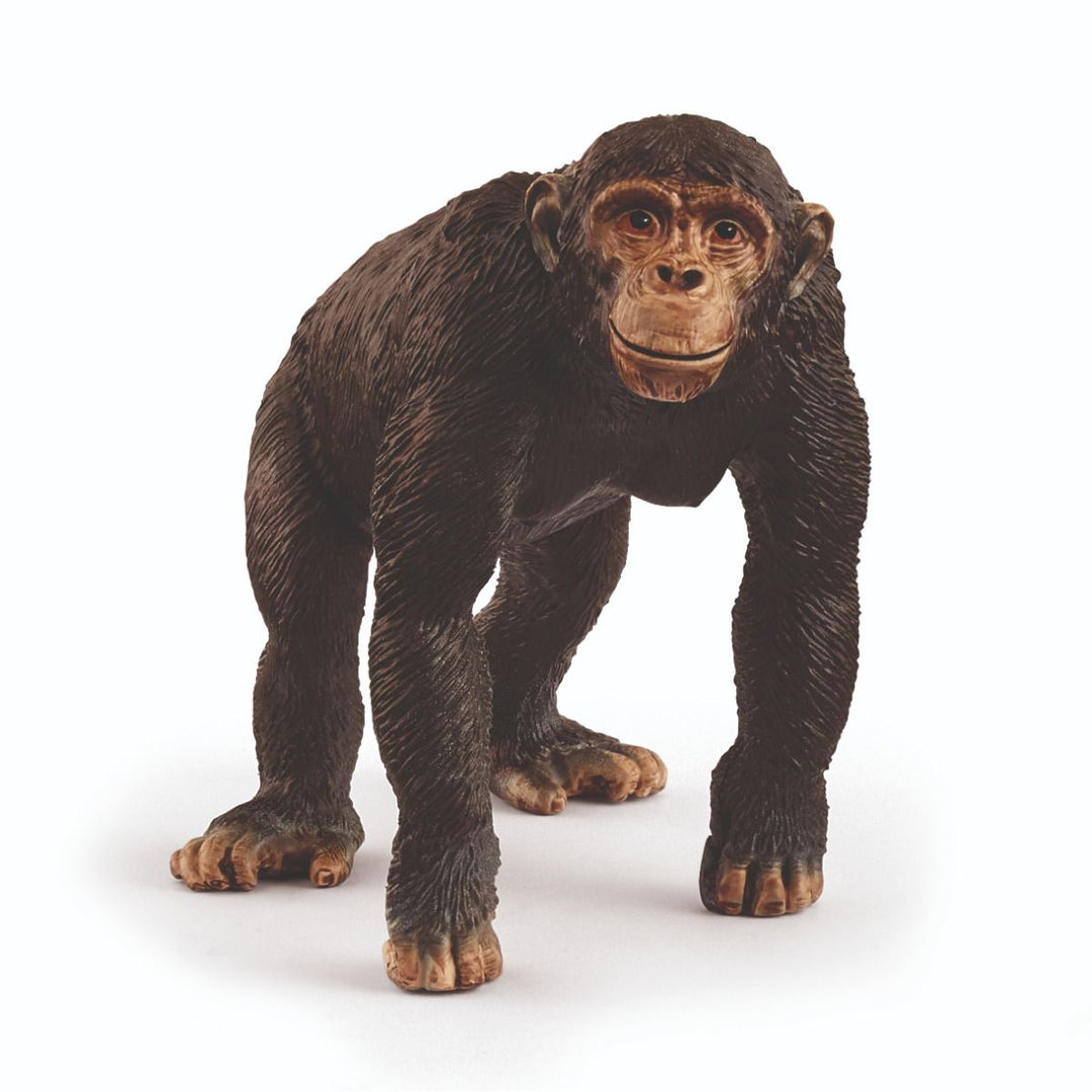 Schleich – Speelfiguur Chimpansee | Realistische Jungle Aap