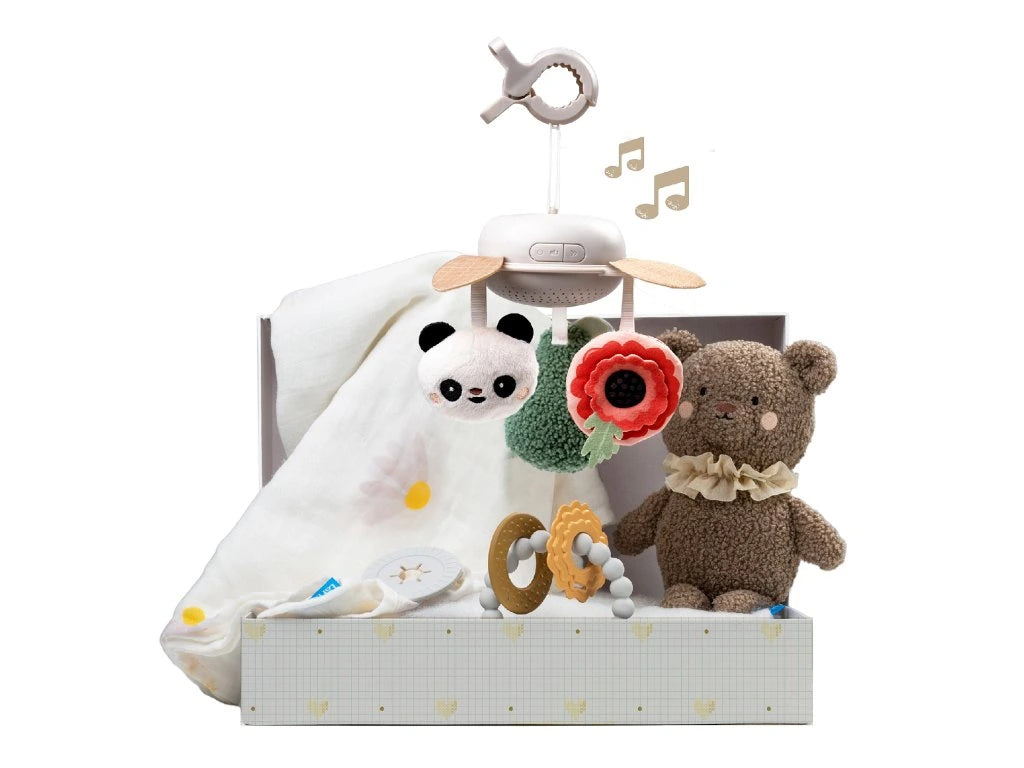Taf Toys - Geschenkdoos Newborn Luxury Kit