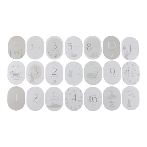 Little Dutch - Mijlpaal Kaarten 'Mijn eerste jaar' Baby Bunny