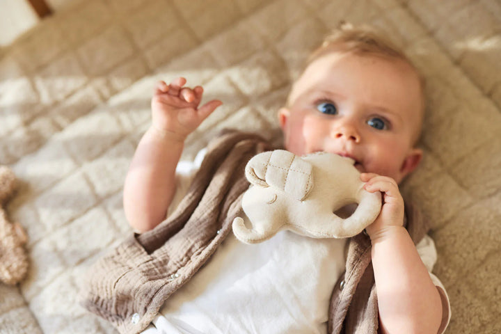 Jollein rammelaar Elephant Tales met ring en olifant design