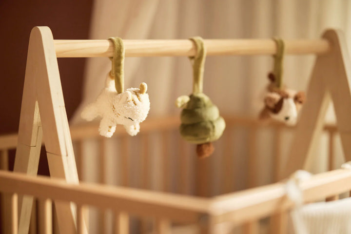 Jollein - Babygym Speeltjes Tiny Park | Huisdieren