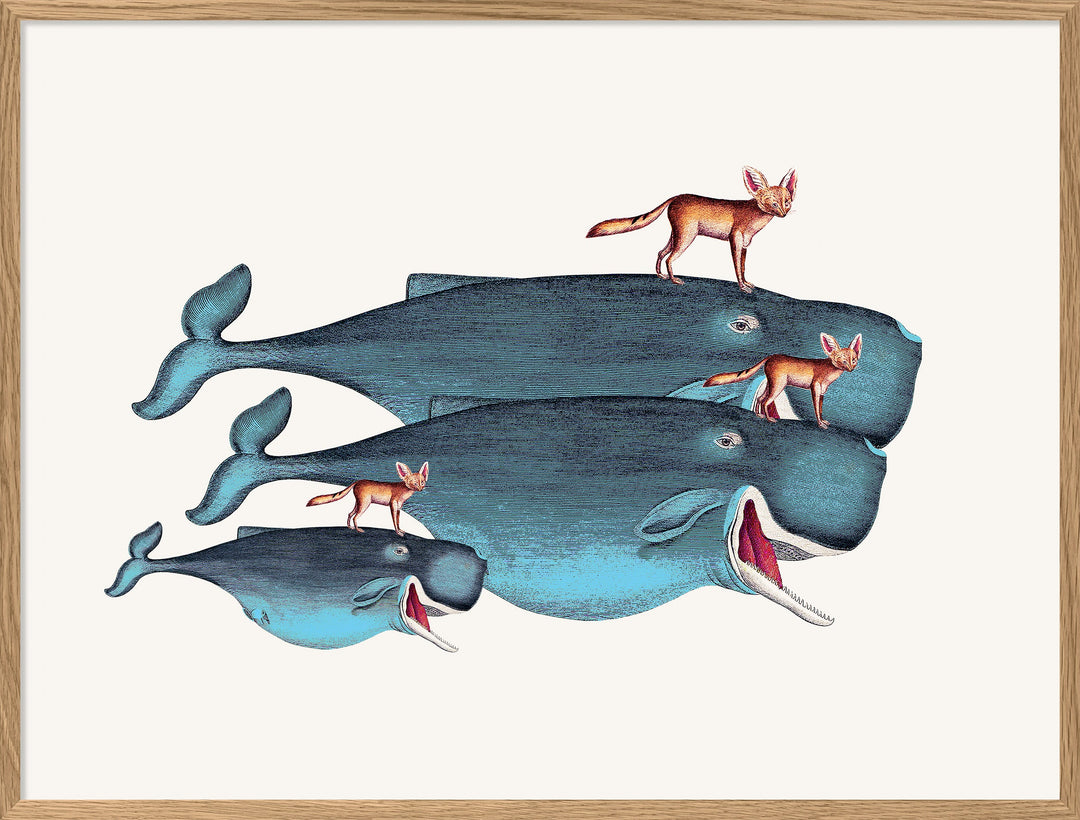 Poster + Kader Oak 30 x 40 cm Whales And Desert Foxes