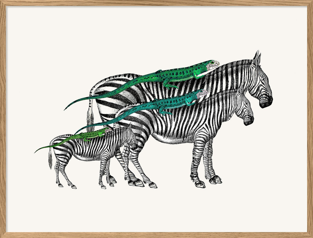 Poster + Kader Oak 30 x 40 cm Zebras And Lizards