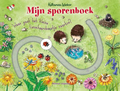 Mijn Sporenboek Waar Gaat Het Kleine Lieveheersbeestje Naartoe?