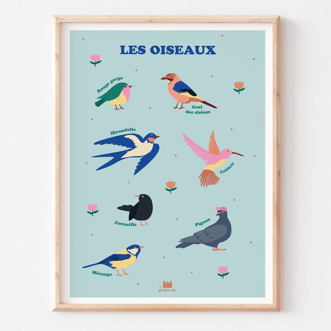 Poster 50 x 70 cm Birds