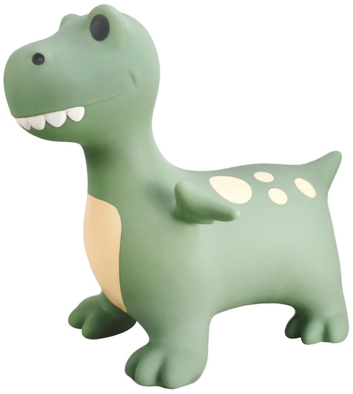 Vrolijk gekleurde Find That Hippo Springdier Dino Dexter, geschikt voor kinderen vanaf 2 jaar
