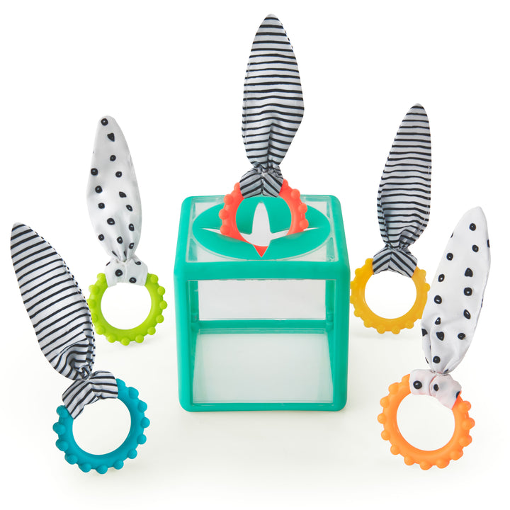 Sassy - Activiteitenkubus Rainbow Ring Drop | Vanaf 12 Maanden