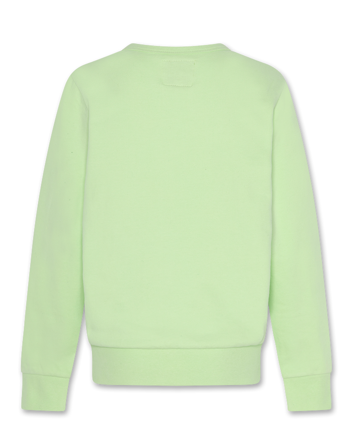 Sweater Tom Waves Light Green