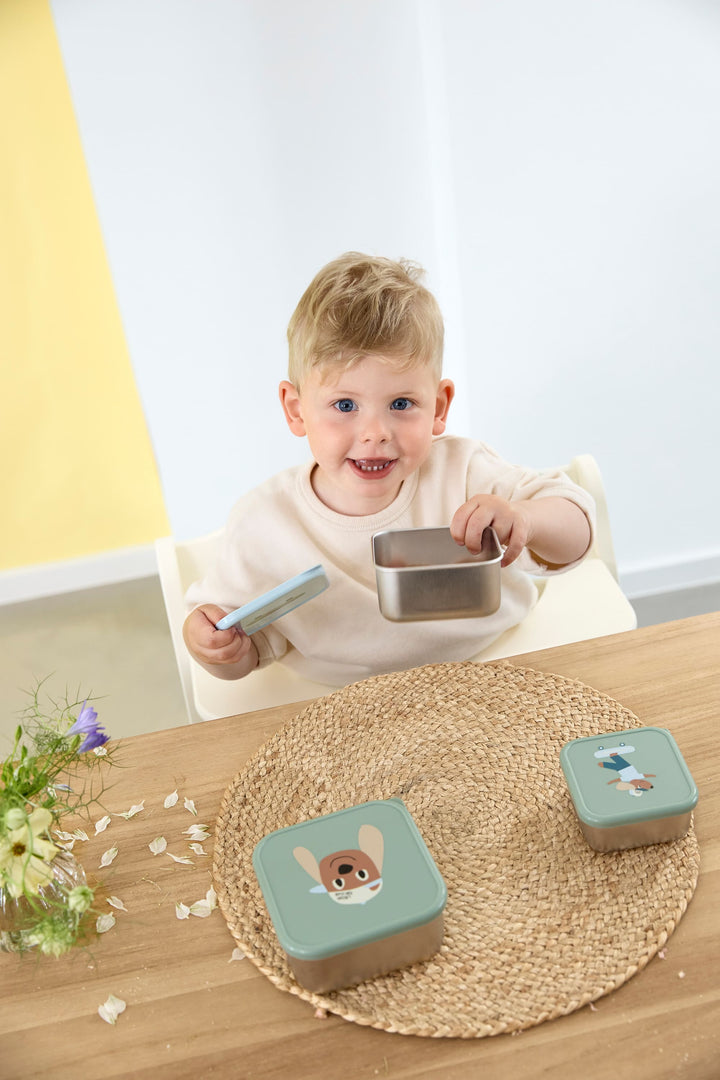 Lassig - Snackdoosjes Stainless Steel Tiny Team (3pack) | Dog