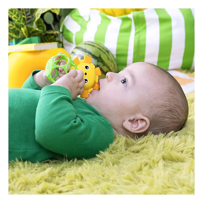 Oball - Bijtring Soother Pals Easy Grasp Toy