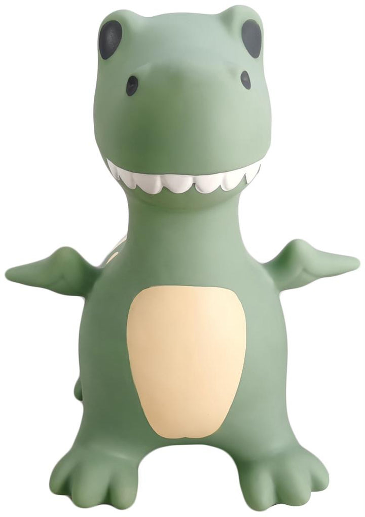Vrolijk gekleurde Find That Hippo Springdier Dino Dexter, geschikt voor kinderen vanaf 2 jaar