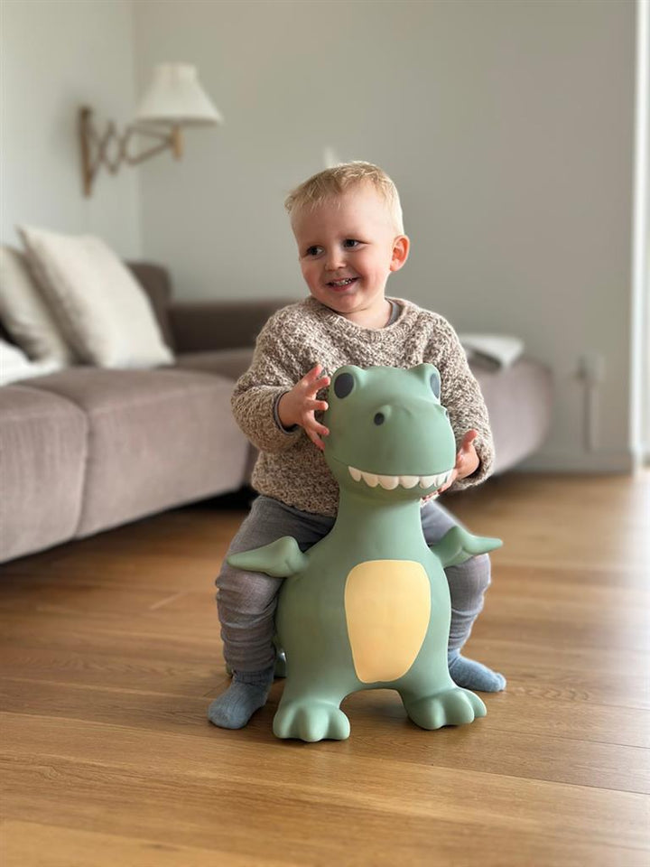 Vrolijk gekleurde Find That Hippo Springdier Dino Dexter, geschikt voor kinderen vanaf 2 jaar