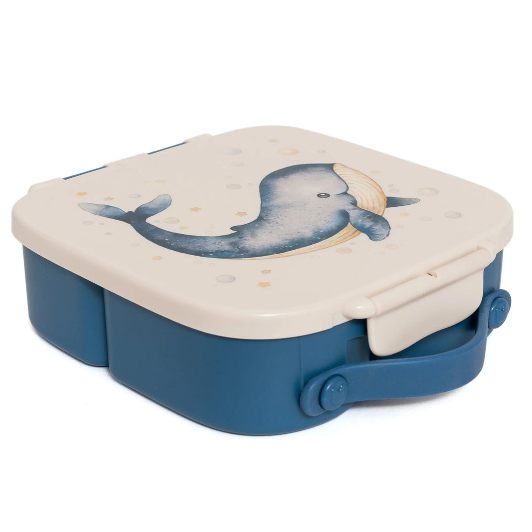 Petit Monkey lunchbox Bento Whale met walvisprint en 3 vakken