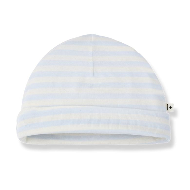 1+ In The Family - Muts Gio | Misty Blue