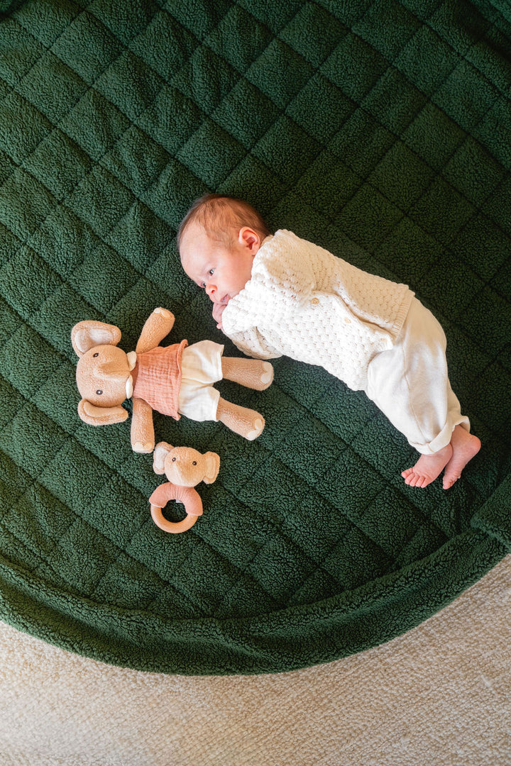 Play & Go - Noomad Soft Opbergzak/Speeldeken | Evergreen Teddy