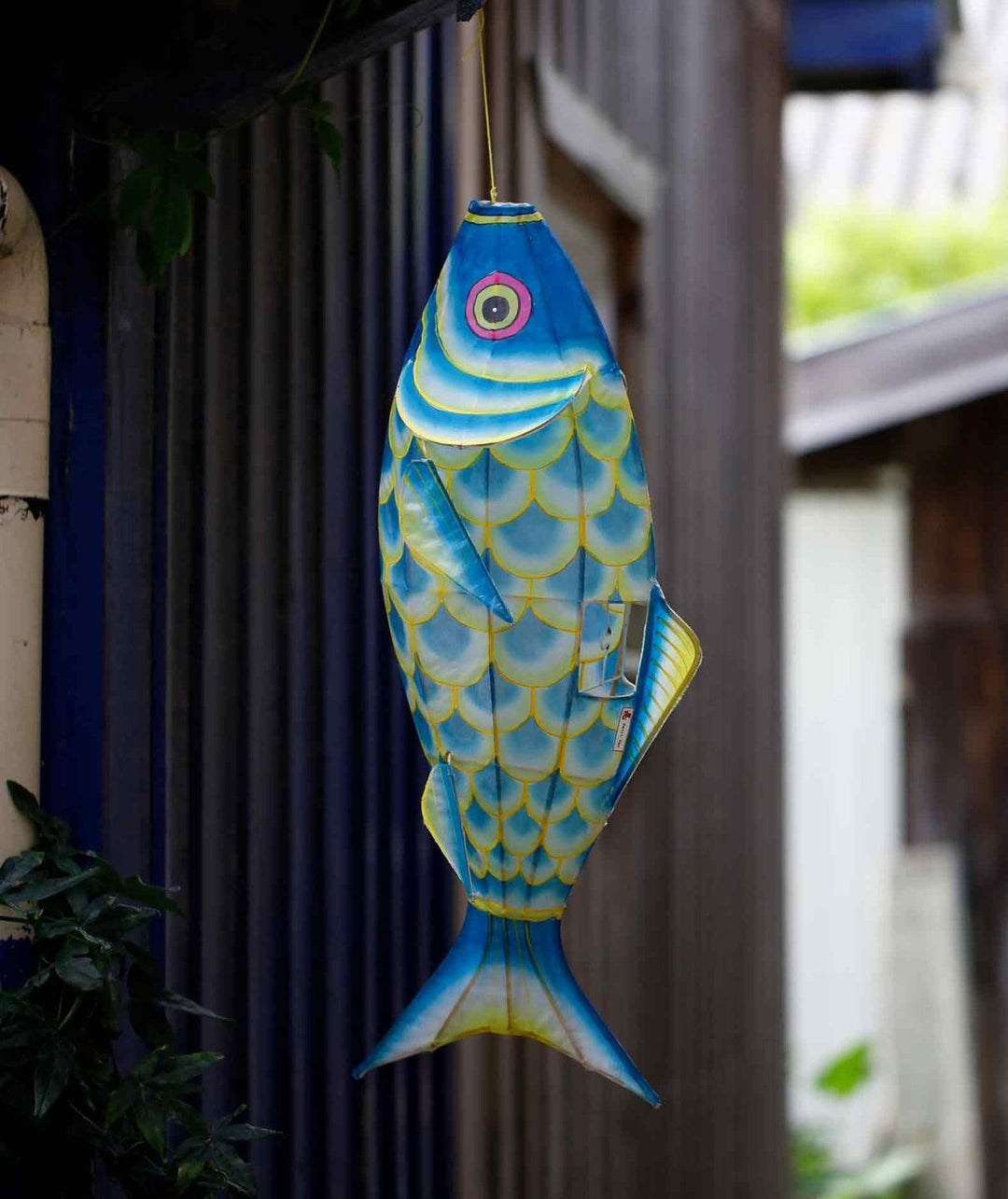 Decoratief Bamboo Carp Fish Small Turqoise