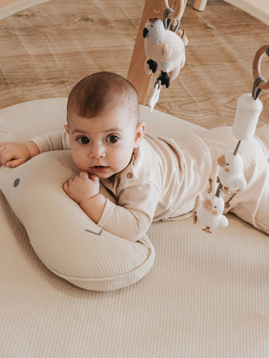 Bamboom - T-shirt Lange Mouwen Pure | Vintage Pink