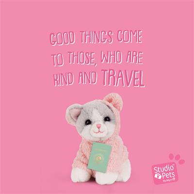 Studio Pets - Knuffel Kitten Ragdoll