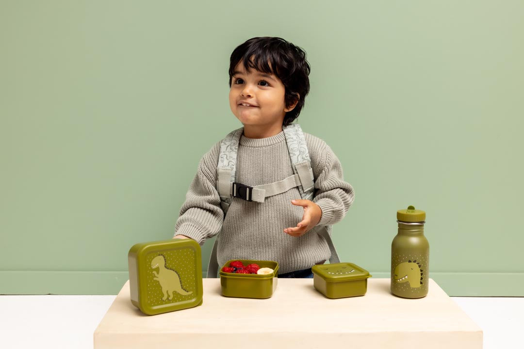 Set van 3 snackdoosjes Mr. Dino van Trixie in verschillende formaten