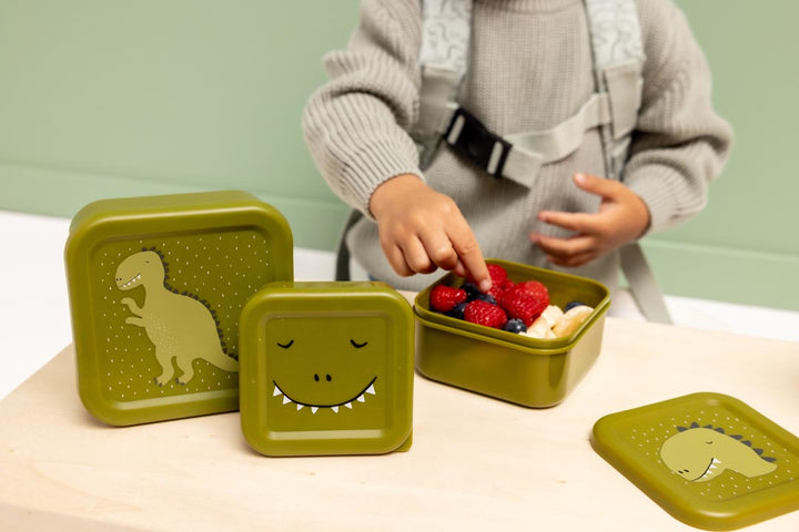 Set van 3 snackdoosjes Mr. Dino van Trixie in verschillende formaten
