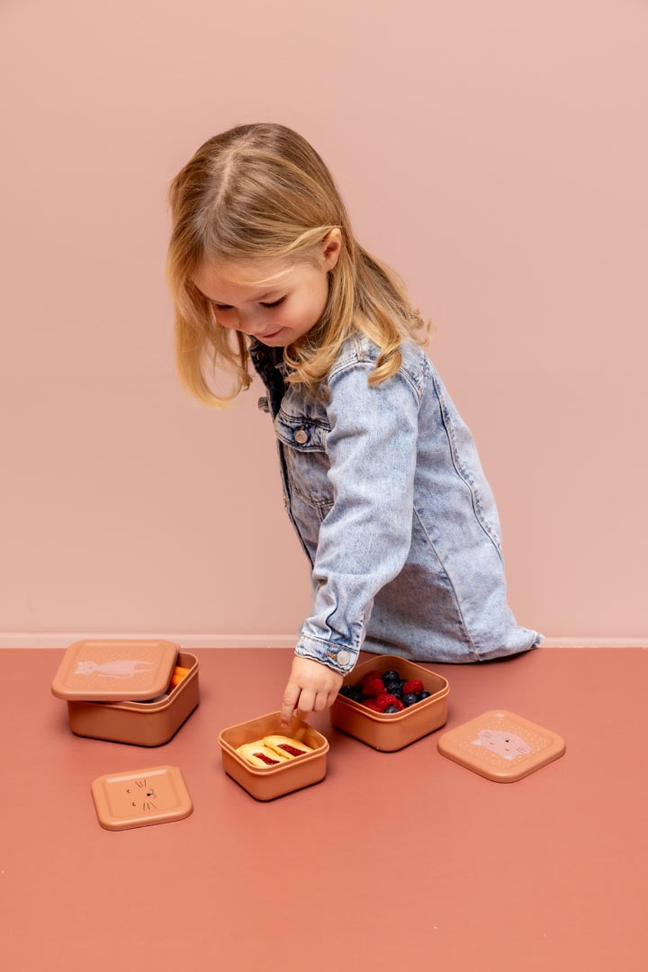 Set van 3 snackdoosjes Mrs Cat van Trixie in verschillende formaten