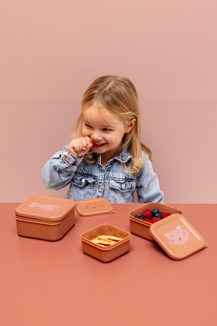 Set van 3 snackdoosjes Mrs Cat van Trixie in verschillende formaten