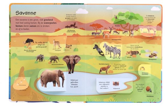 Lannoo - Mijn Grote Flapjesboek Van Alle Dieren | Educatief Flapjesboek