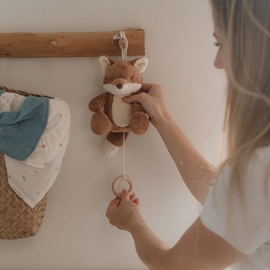 Muziektrekker Vos Forest Friends