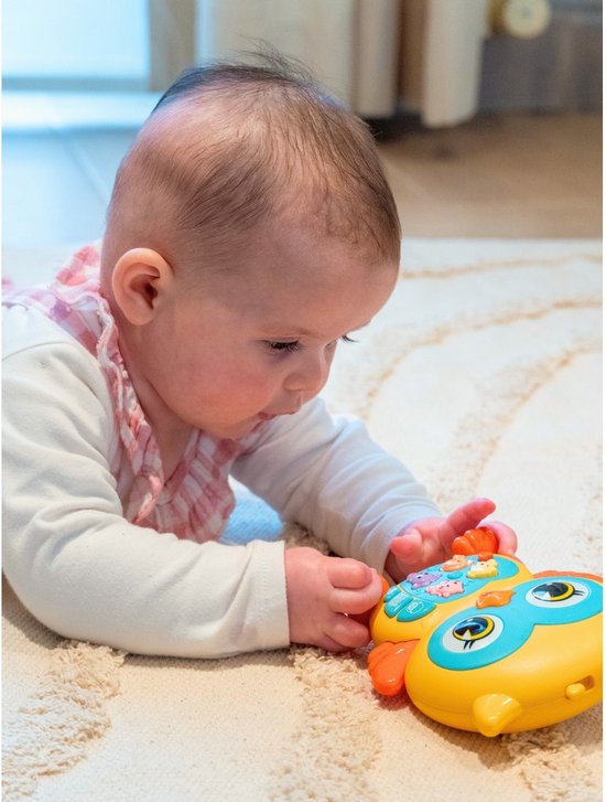 Sassy - Activiteitenspeeltje Met Muziek Enchanting Owl | Vanaf 12 Maanden