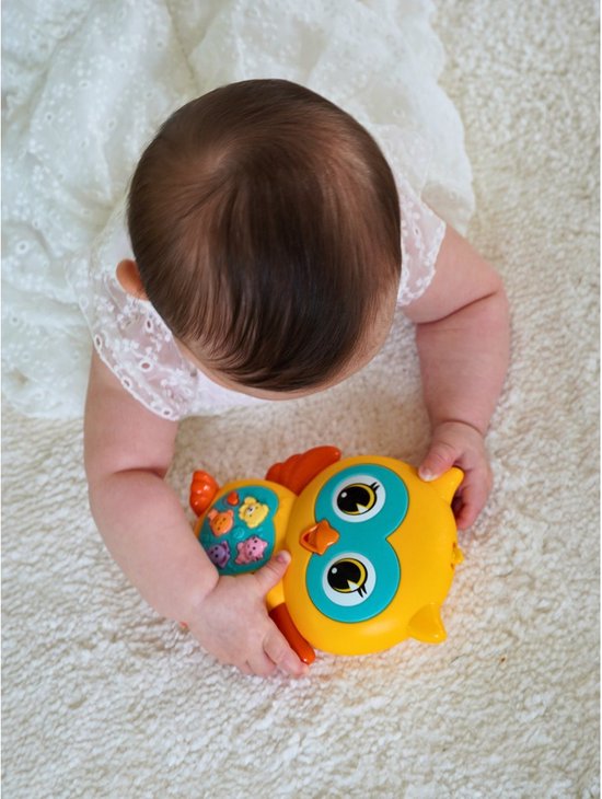 Sassy - Activiteitenspeeltje Met Muziek Enchanting Owl | Vanaf 12 Maanden