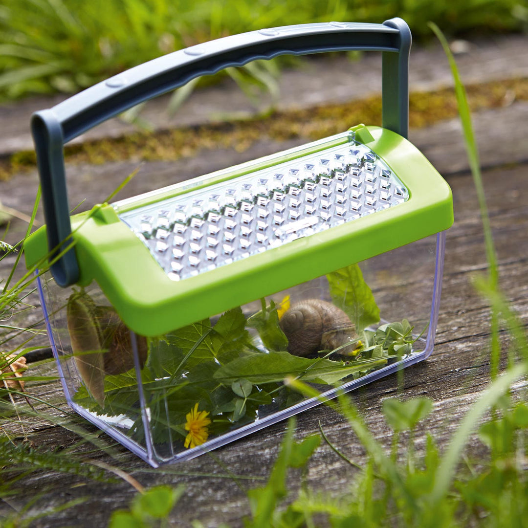 Transparante Terra Kids insectendoos met luchtgaten en draaghengsel