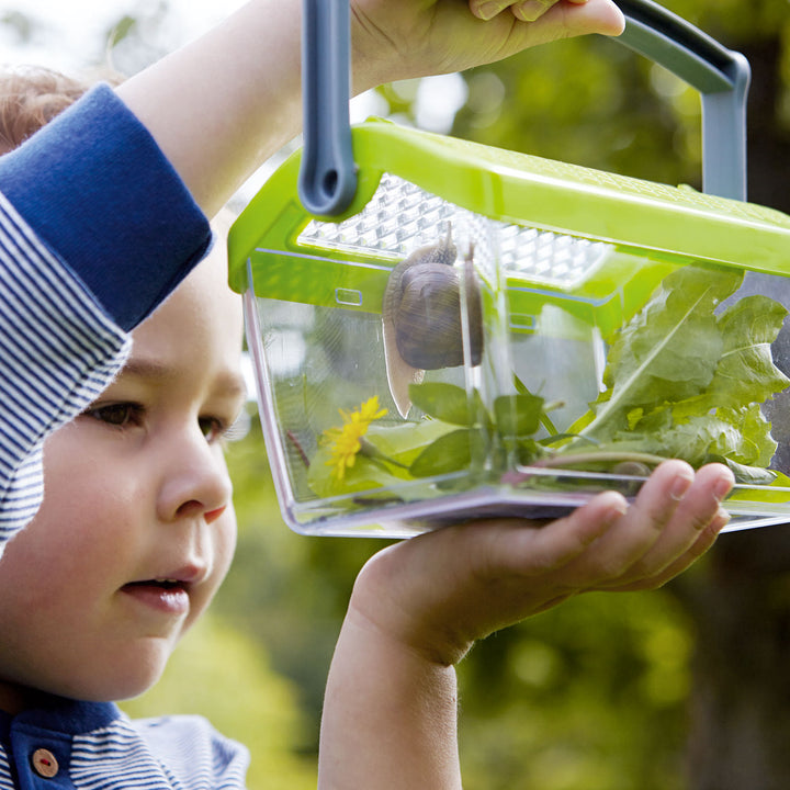 Transparante Terra Kids insectendoos met luchtgaten en draaghengsel