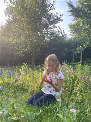 Crazy Aaron's - Kneedbare Fidget | Blooming Botanicals