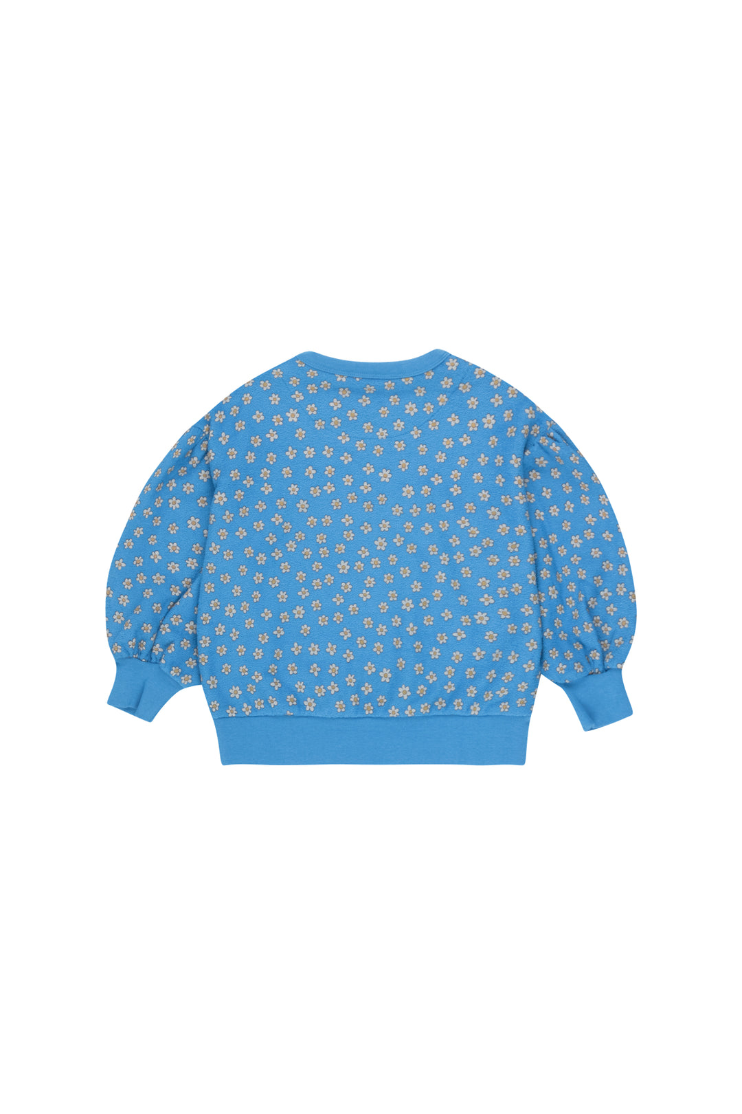 Felblauwe sweater met all-over madeliefjesprint van Tiny Cottons, voorkant