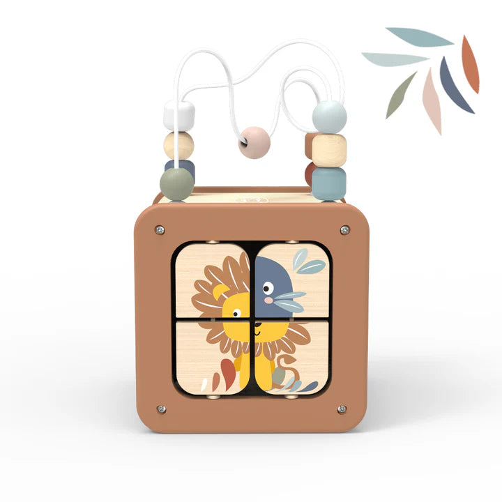 Speedy Monkey - Activiteitenkubus