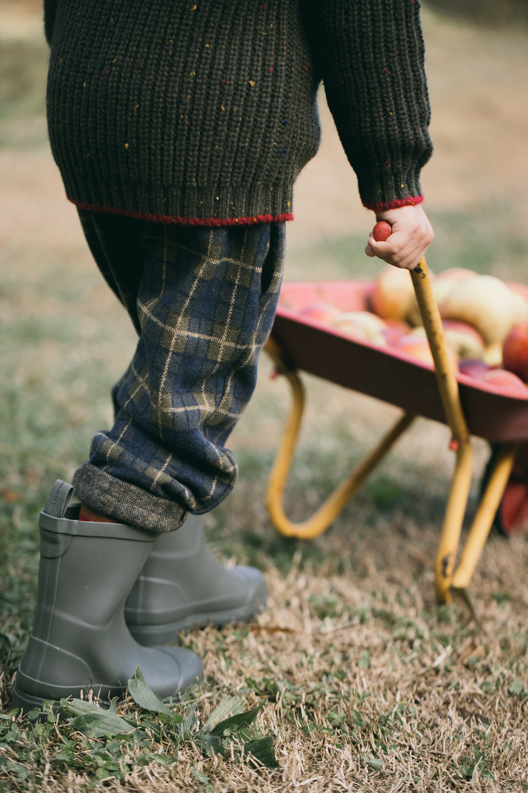 1+ In The Family - Broek Churchill Blue