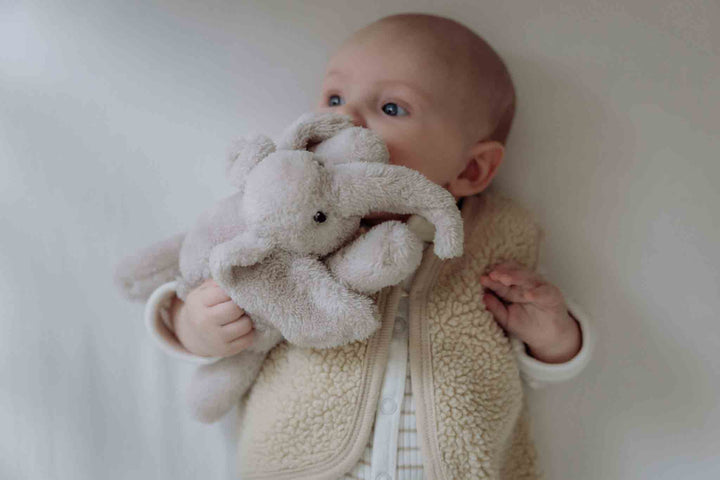 Flow - Knuffellampje George | Blush