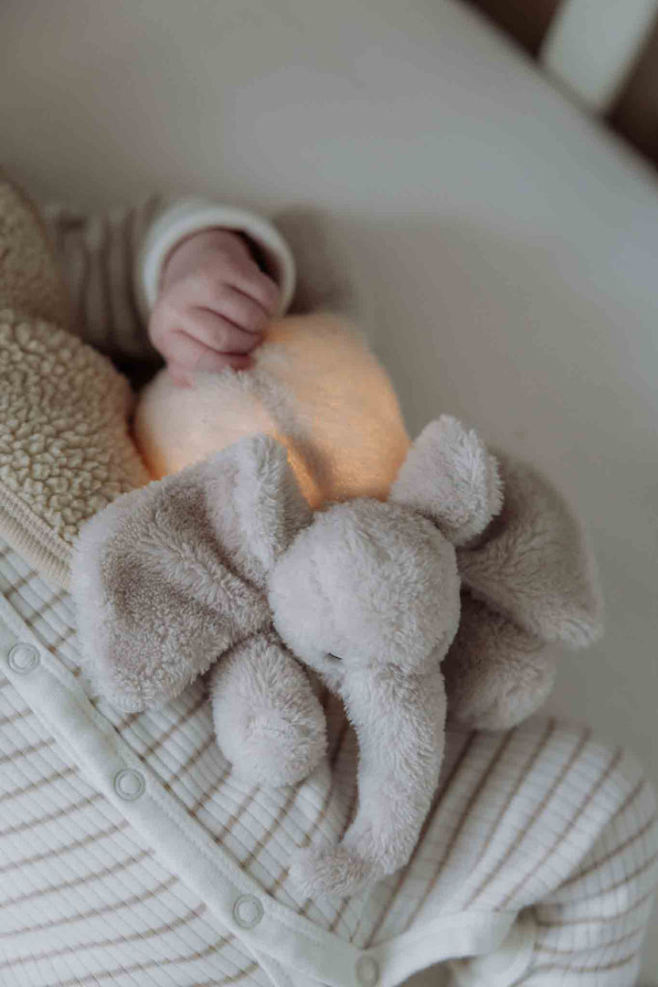 Flow - Knuffellampje George | Blush