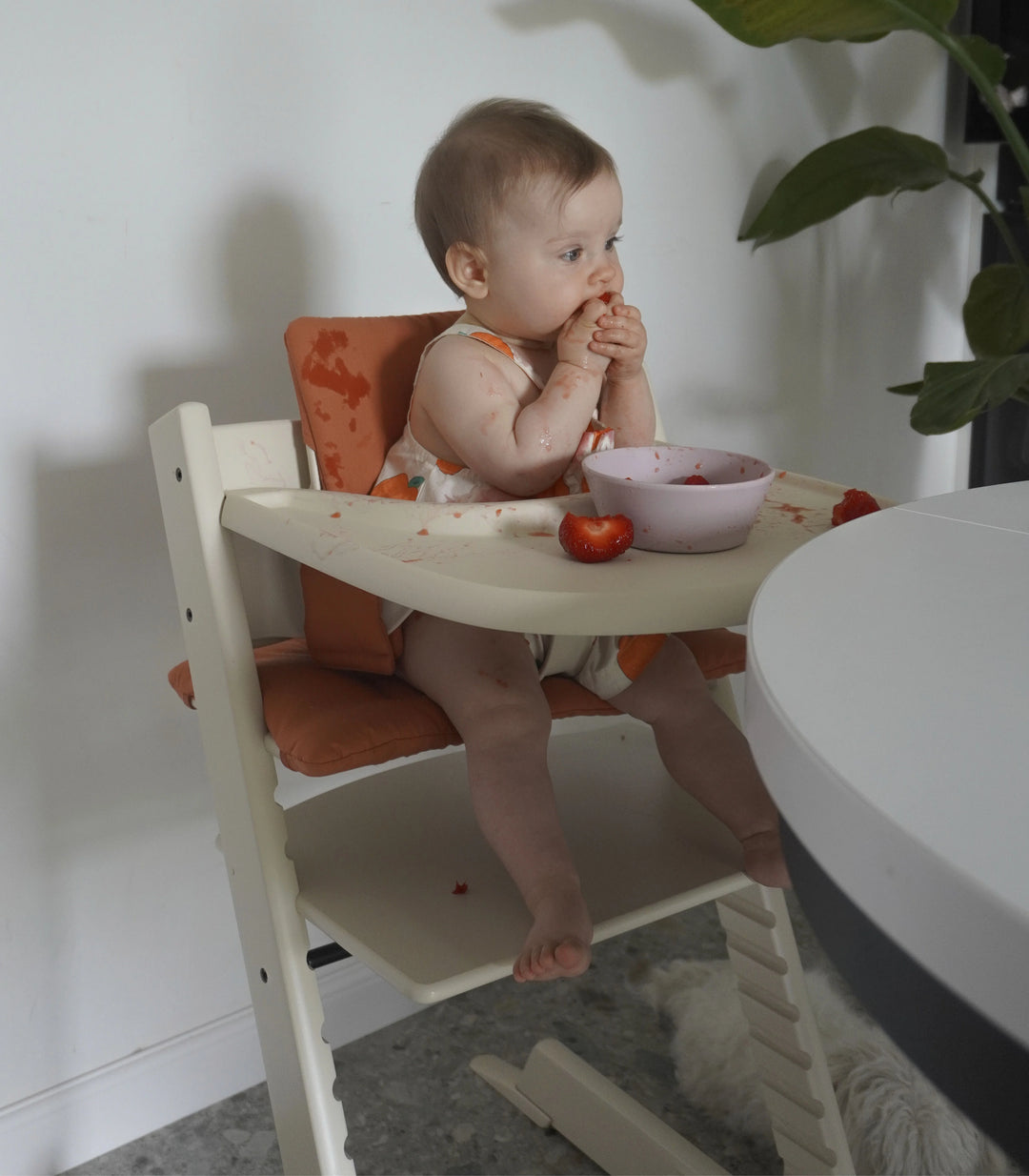 Stokke - Eettablet Tripp Trapp | Vanilla White