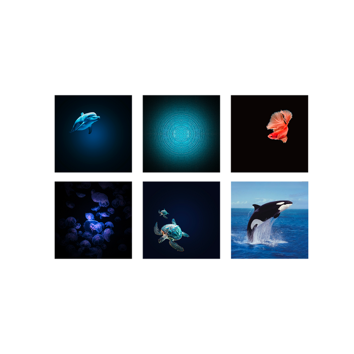 Kidywolf - Kidystar HD Planetarium | Ocean