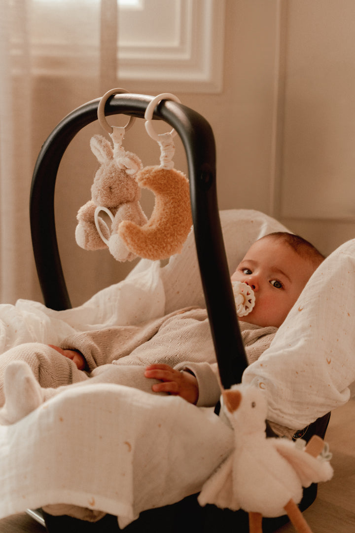 Little Dutch Activiteitenhangers Newborn Naturals met trilfunctie en texturen