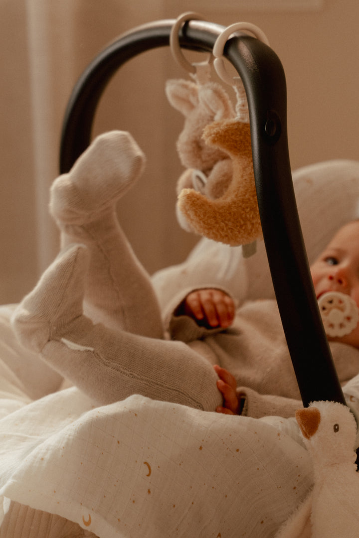 Little Dutch Activiteitenhangers Newborn Naturals met trilfunctie en texturen