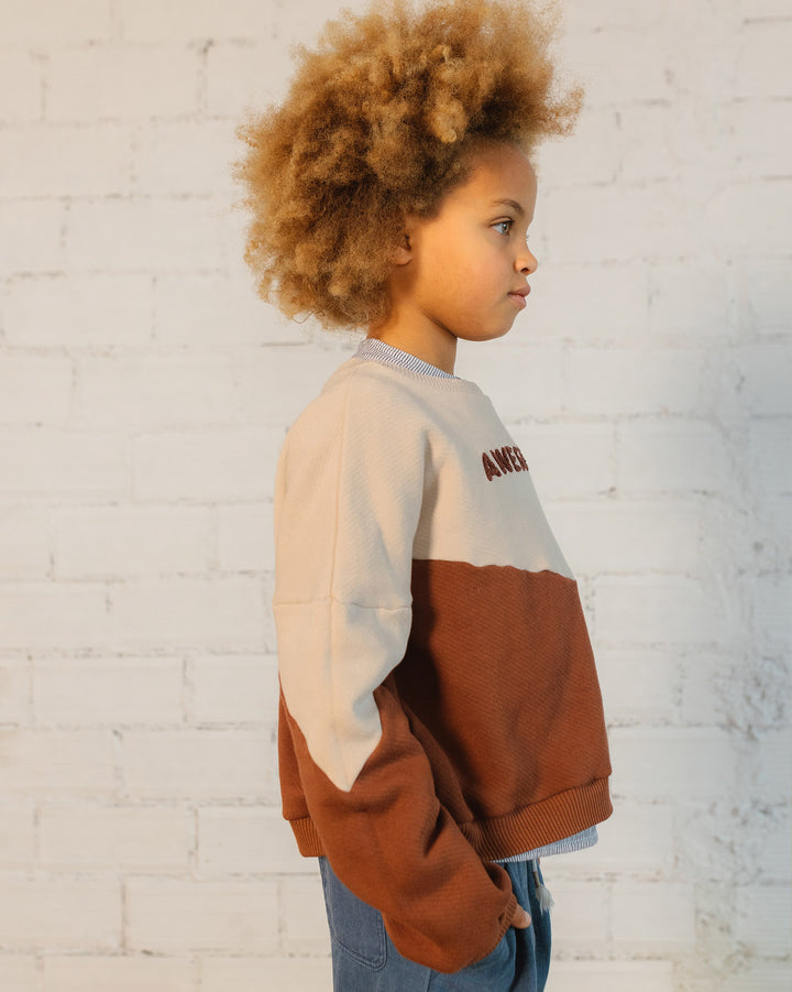 Buho katoenen fleece sweater in Henna met "Awesome" borduursel, lange mouwen en geribde boorden