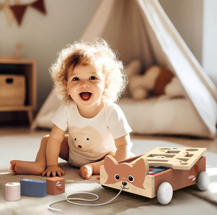 Speedy Monkey - Blokkenwagen Vos