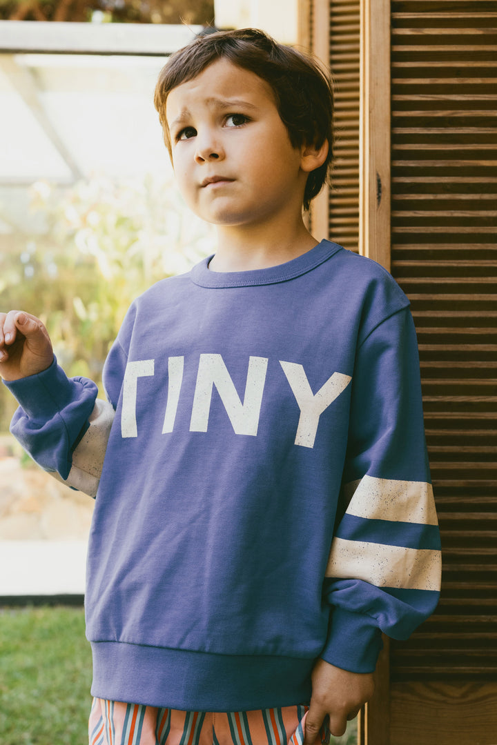 Sweaters Logo Stripes Ultramarine