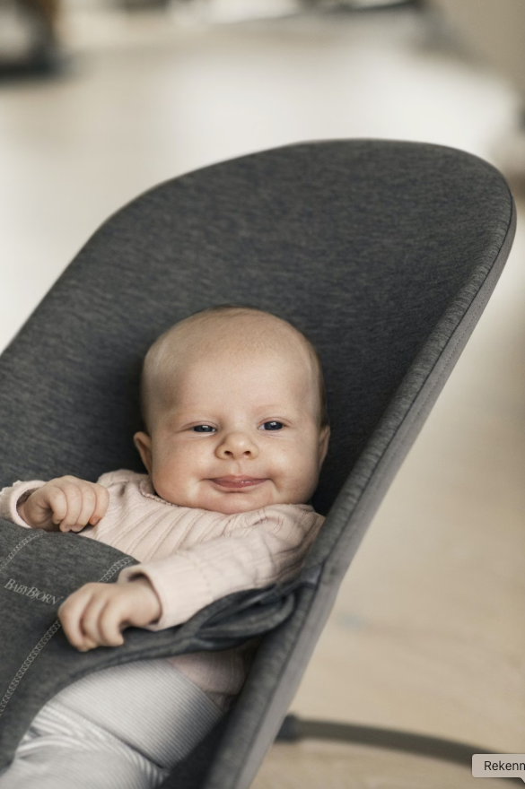 BabyBjörn Relax Bliss 3D Jersey houtskoolgrijs wipstoeltje met ergonomisch design