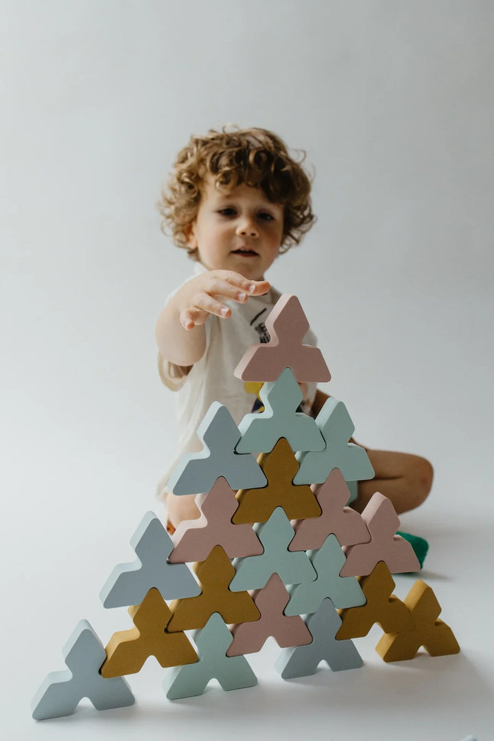 Blokken Trianglo (24 stuks)